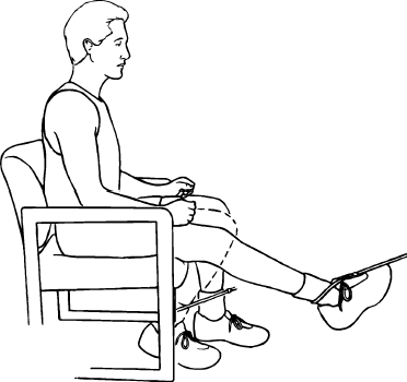 seated knee flexion