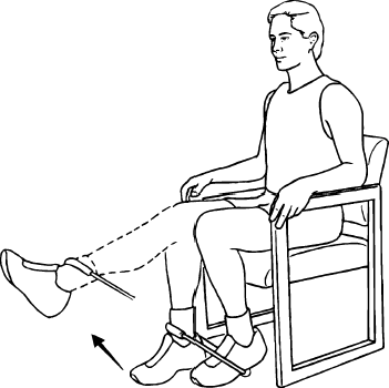 seated knee extension