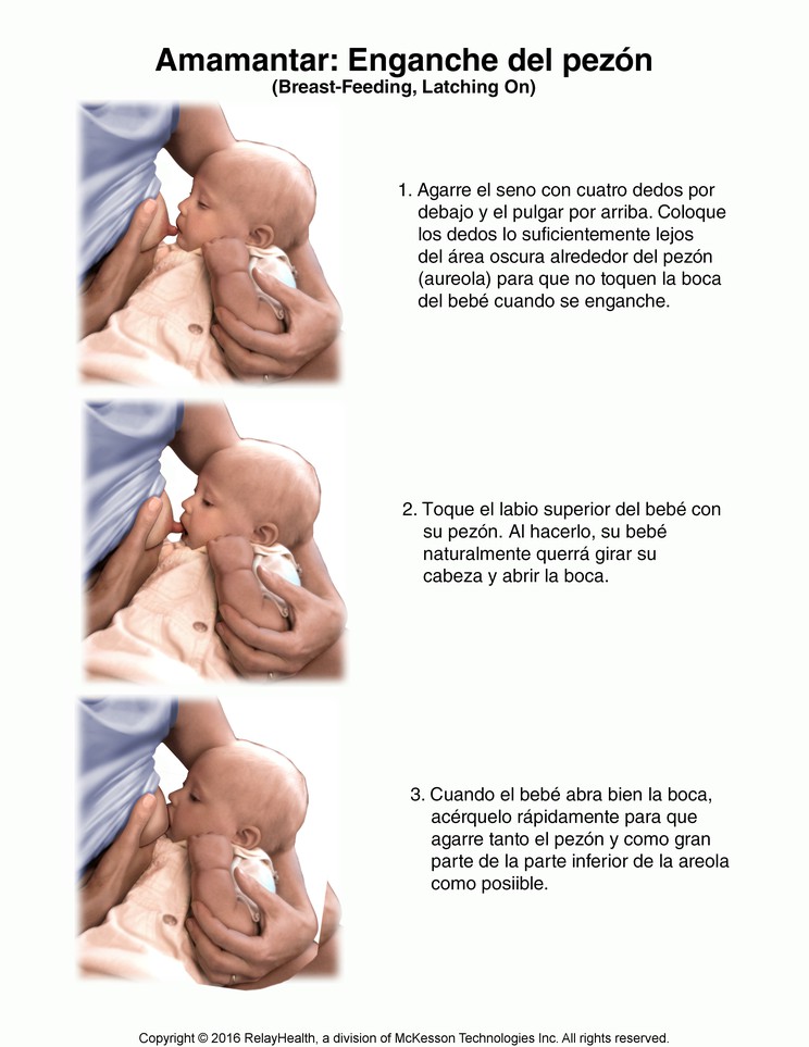 Breast-Feeding, Latching on: Illustration