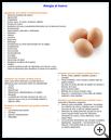 Thumbnail image of: Egg Allergy: Illustration