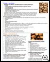Thumbnail image of: Nut Allergy: Illustration